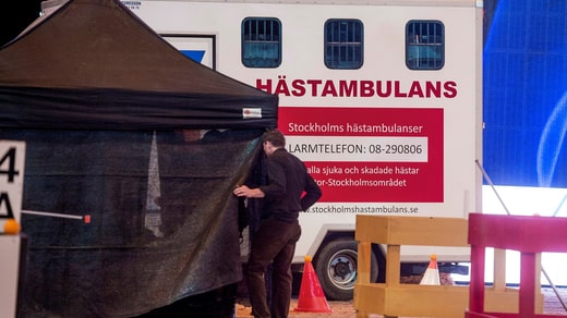 Filur, le cheval du cavalier Axel Olin, a été transporté par une ambulance hippomobile lors des compétitions de la Coupe du monde au Friends arena à Solna en 2015.