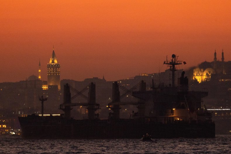 Un navire transportant des céréales ukrainiennes passe par Istanbul