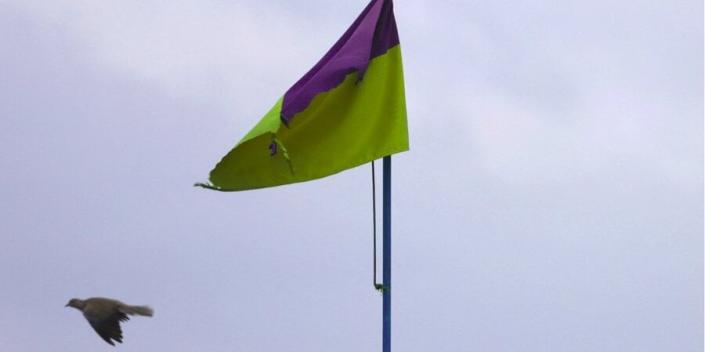 Un pigeon passe devant le drapeau ukrainien à Chasovoy Yar, près de Bakhmut, le 11 avril 2023.