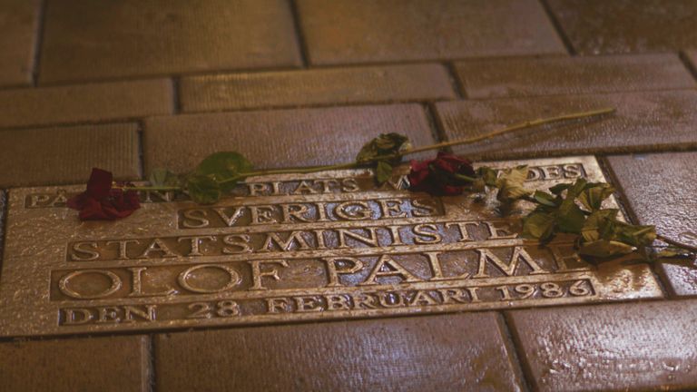 En 1986, le Premier ministre suédois, Olof Palme, est assassiné dans une rue animée de Stockholm. Des années d'enquête policière aboutissent à une impasse. L'internet est envahi de théories du complot, créant des armées de détectives en fauteuil et d'obsessionnels. Jusqu'à ce qu'un journaliste découvre par hasard 20 boîtes contenant les dossiers personnels de l'écrivain policier le plus connu au monde, SDeg Larsson, auteur de La fille au tatouage de dragon et de La fille qui a tué un nid de frelons....