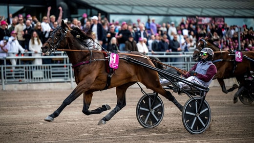Hohneck sur le chemin de la victoire.