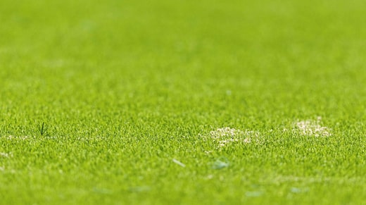 Le sable de la nouvelle pelouse artificielle de la Tele2 arena sera complété par des granulés de caoutchouc.