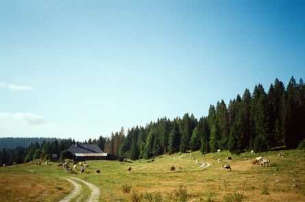 Cyclisme près de Rochejean en France