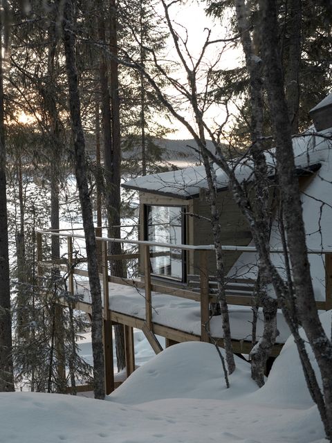 le camp de safari aurora