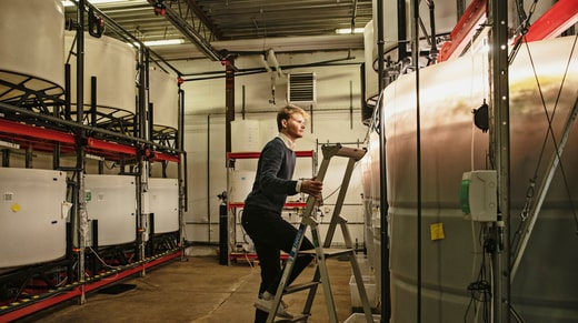 Lorsque Fredrik Åkerman a lu sur un forum Internet les effets des algues sur la production de méthane chez les vaches, il n'a pas compris pourquoi toutes les vaches ne recevaient pas les algues. Aujourd'hui, c'est l'objectif de l'entreprise, dit-il.