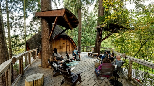 Parmi les cèdres du siège de Microsoft à Redmond, des cabanes en bois ont été construites pour permettre aux employés d'organiser des réunions informelles.