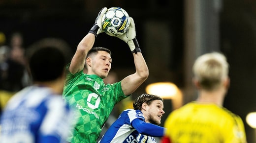 Hakon Valdimarsson a connu une saison réussie dans les buts d'Elfsborg.