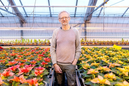 Jaan Tiits dans la serre où sont cultivées les plantes de Noël.