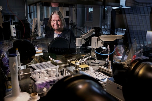 Le professeur Kristina Edström dirige un groupe de 100 personnes originaires de 30 pays au Centre Ångström des batteries avancées.