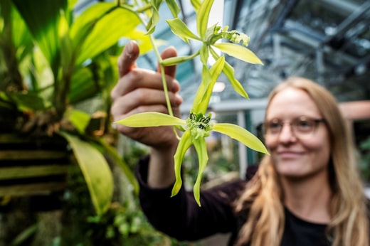 Enfant, Erika Eriksson trouvait amusant de manger ce qui se trouvait dans le jardin.
