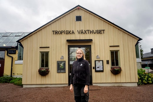 La jardinière Erika Eriksson à côté de la serre tropicale d'Uppsala.