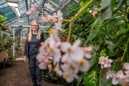 Pour de nombreux jardiniers, il peut être difficile de trouver un emploi pendant les mois d'hiver.