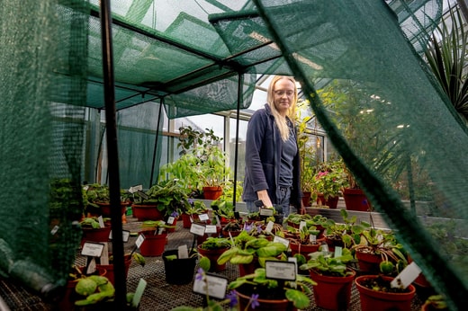 Dans la pièce la plus intérieure, les jardiniers conservent les boutures et les réserves. Erika Eriksson la décrit comme une 