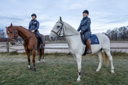 Si la Suède est confrontée à une crise, les membres de l'Étoile bleue suédoise peuvent être appelés en renfort pour résoudre les problèmes liés aux animaux.