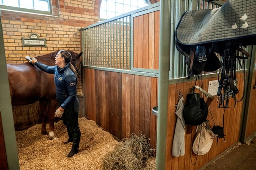 Tous les chevaux de la Haute Garde doivent être à l'aise dans un environnement urbain pour participer aux défilés et autres activités similaires.