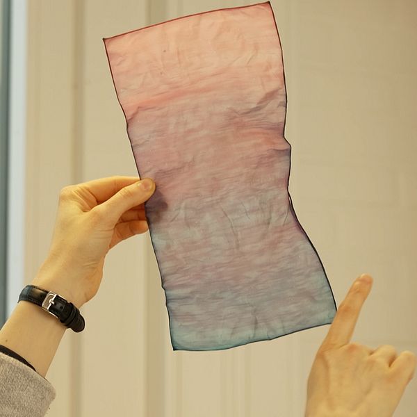 Photo : Håkan Claesson / SVT Un mélange de très petites fibres de cellulose et d'eau pourrait devenir un matériau de construction plus respectueux de l'environnement et plus durable que le bois ou le gypse.