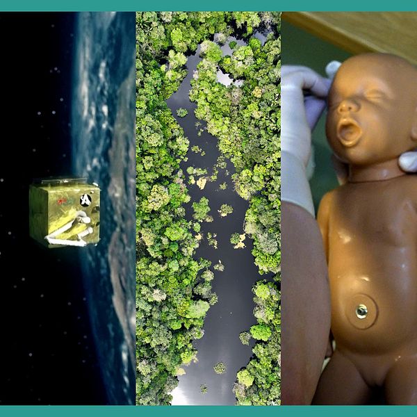 Réalité virtuelle pour les gardiens de maison, robot pour nettoyer l'espace, réduction de la déforestation au Brésil et en Colombie