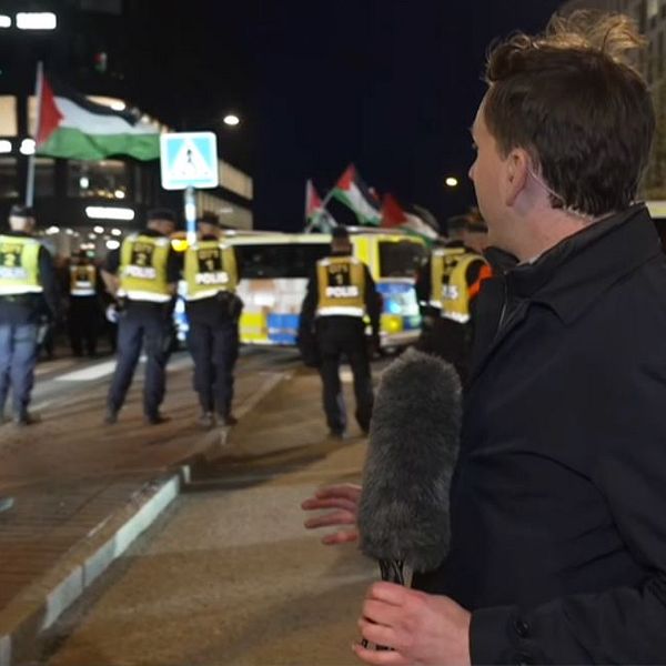 Reporter